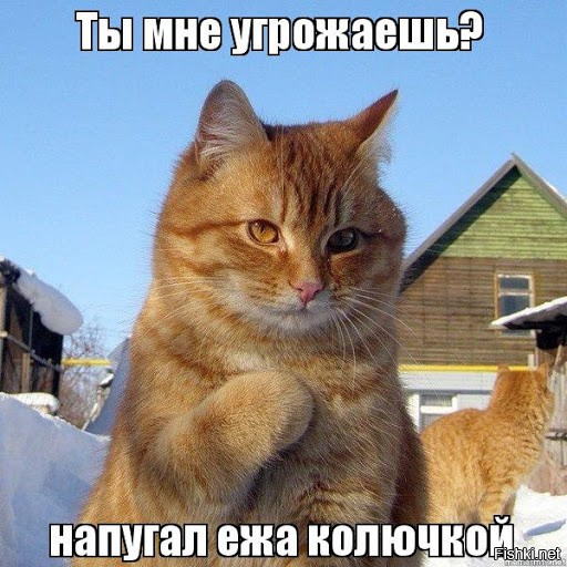 Так, если вы нормальный контент не будете делать, я вам всякую фигню буду под...