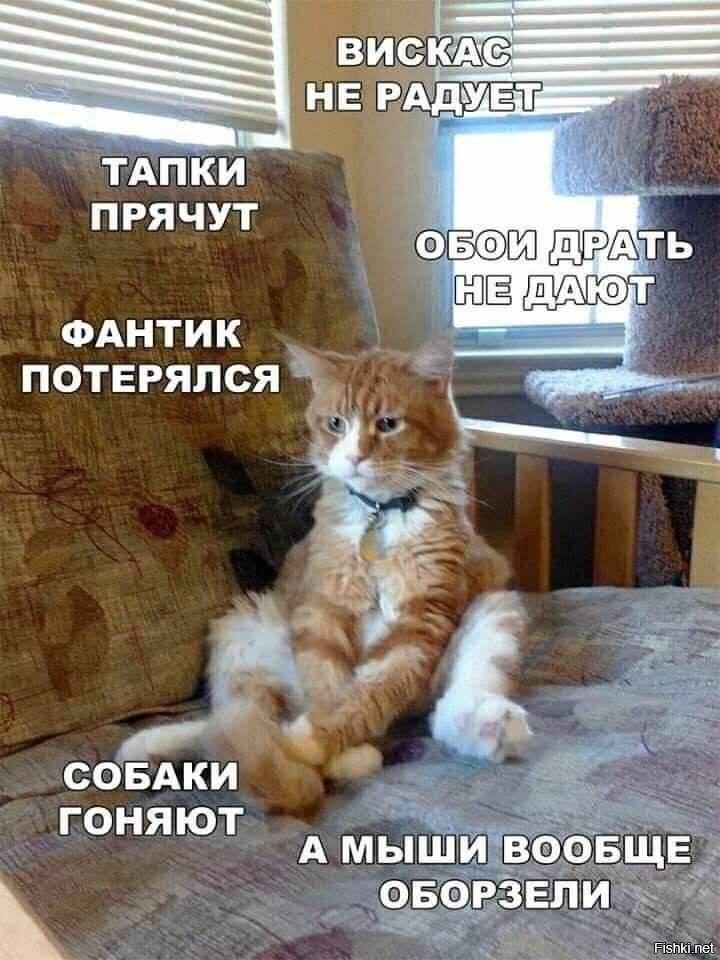 Солянка от 01.08.2020