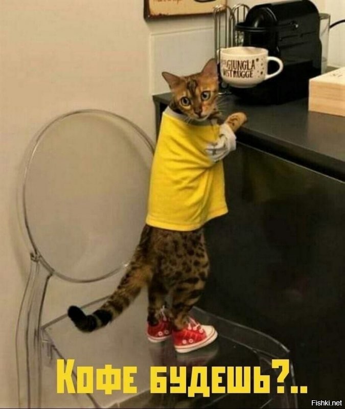 Солянка от 01.08.2020