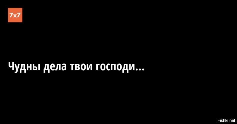 Солянка от 01.08.2020