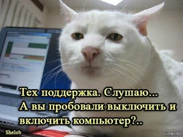 Солянка от 01.08.2020