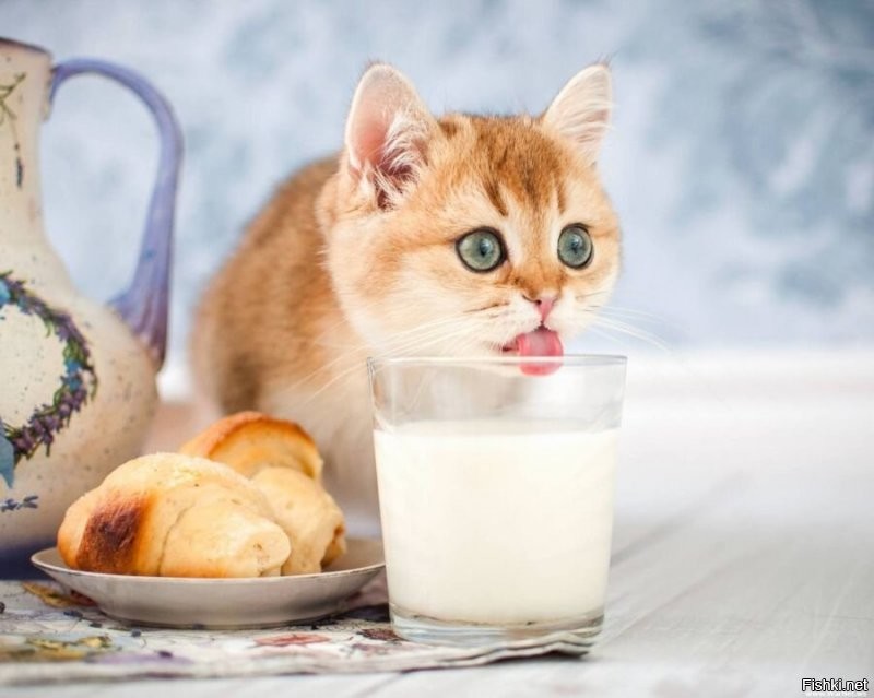 С молоком , если можно )
