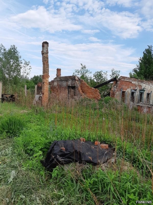 Хорошо. Но с огнём шутки плохи.