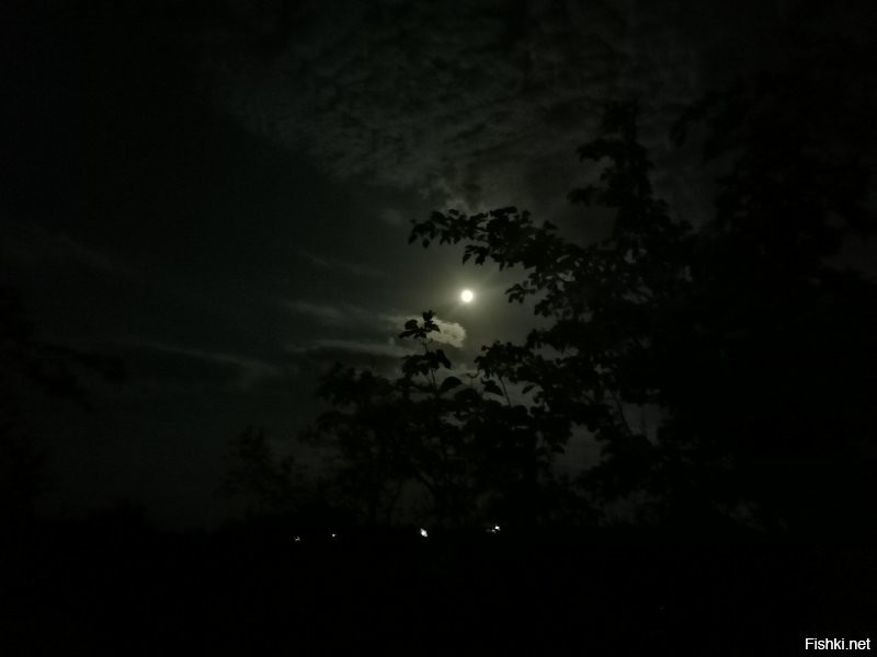 Не давно был на даче,луну фоткал)Ночной режим осваивал,мимо!)