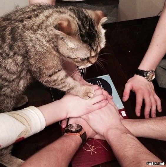 Солянка от 01.08.2020