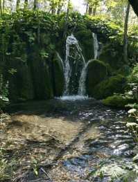 Из недавнего