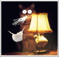 Зачем капитан спецназа ГРУ выстрелил в своего сержанта перед всей ротой?