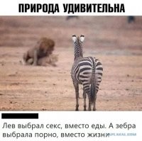 Не ищите здесь смысл. Здесь в основном маразм
