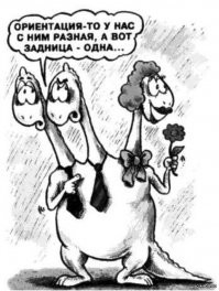 Прикольные и смешные картинки