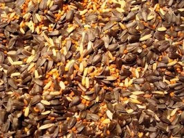 На первом фото похоже на корм для птиц, а снизу - на косточки лимона похожи