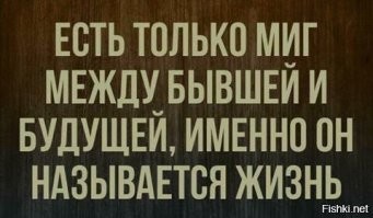 Прикольные и смешные картинки