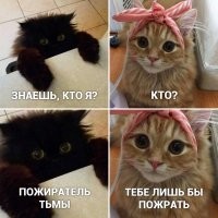 Прикольные и смешные картинки