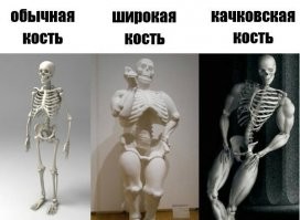 "Просто бомбы": толстые туристы уже утомили венецианцев