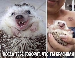 Женщина похудела за год на 65 кг, следуя пяти простым правилам