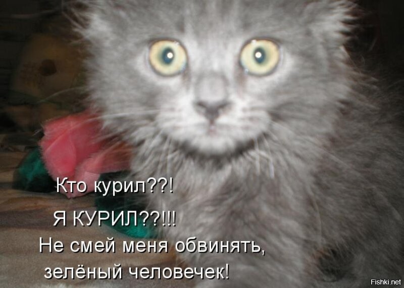 Господа соленья