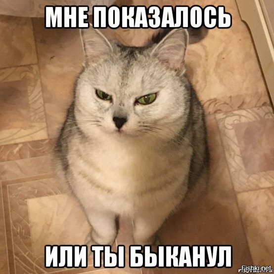 Солянка от 02.08.2020