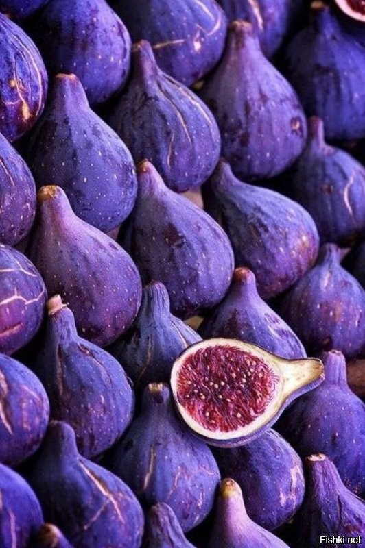 Солянка от 02.08.2020