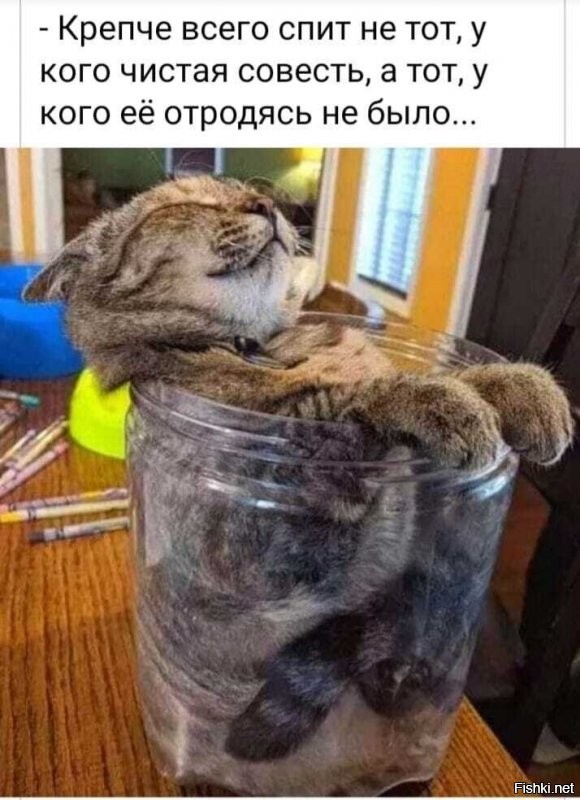 Солянка от 02.08.2020