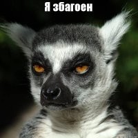 Прикольные и смешные картинки