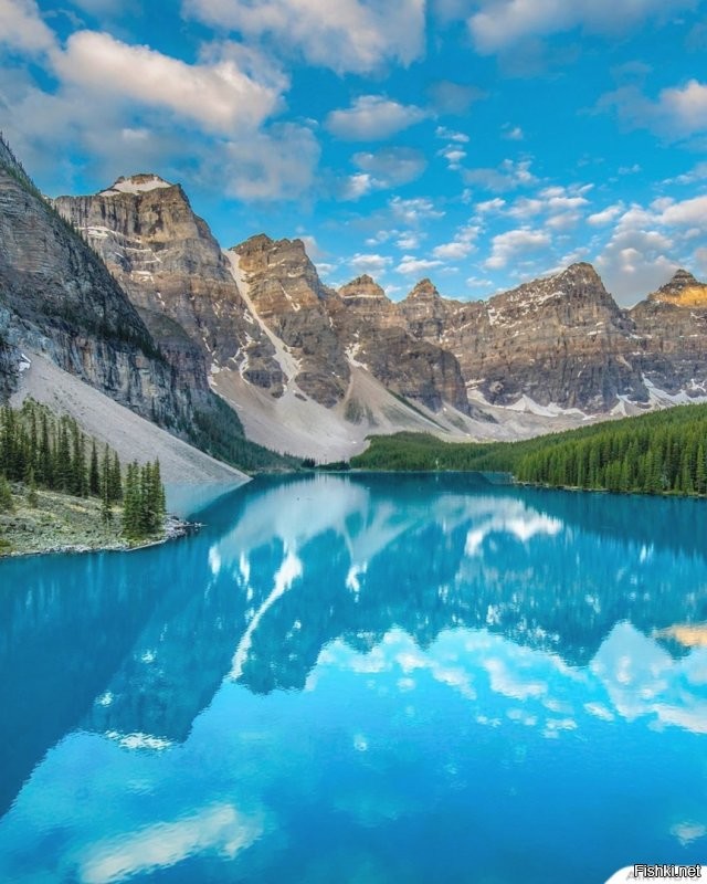 Солянка от 02.08.2020