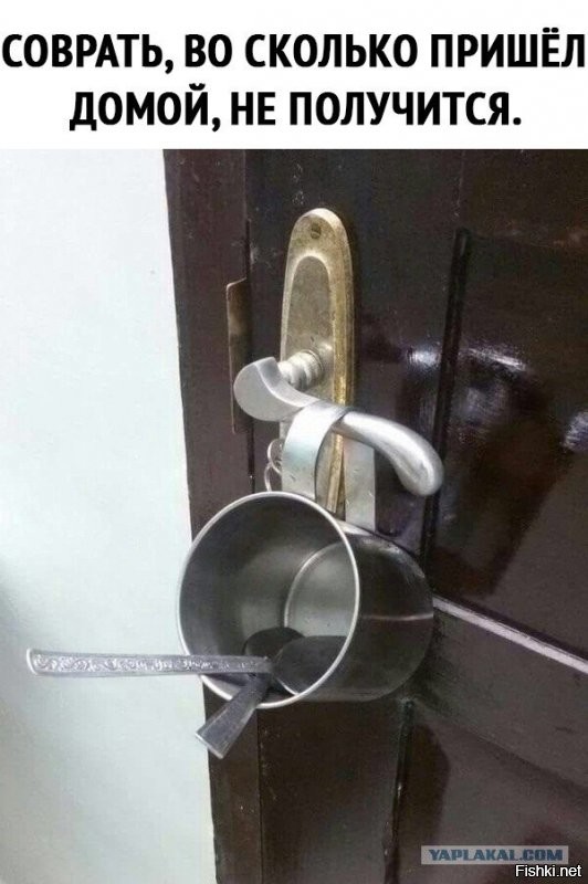 Прикольные и смешные картинки