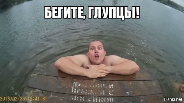 Лунатики