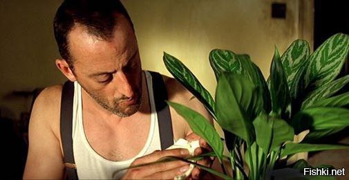 Ну нету, нету у меня дачи