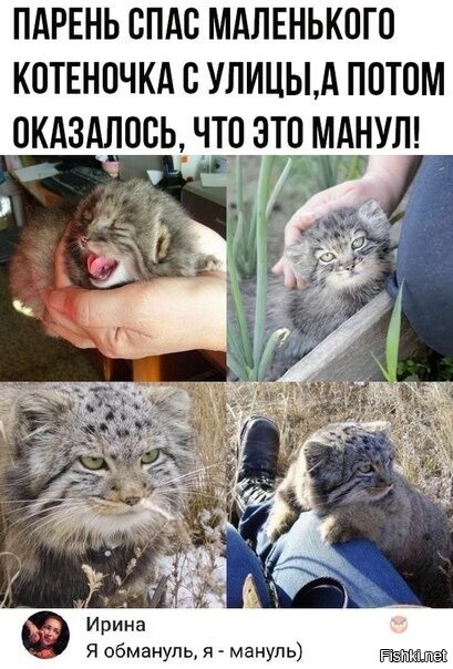 Солянка от 02.08.2020