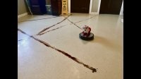 Прикольные и смешные картинки