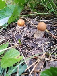 мои вчерашние