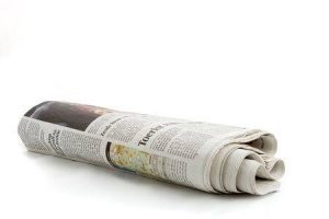 Комариная смерть: по каким очевидным и не очень причинам гибнут комары?