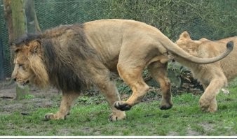 Вообще-то это было так