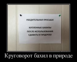 15 улётных объявлений, которые могли придумать только в России