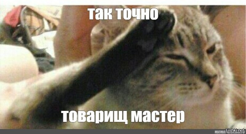 Солянка от 03.08.2020