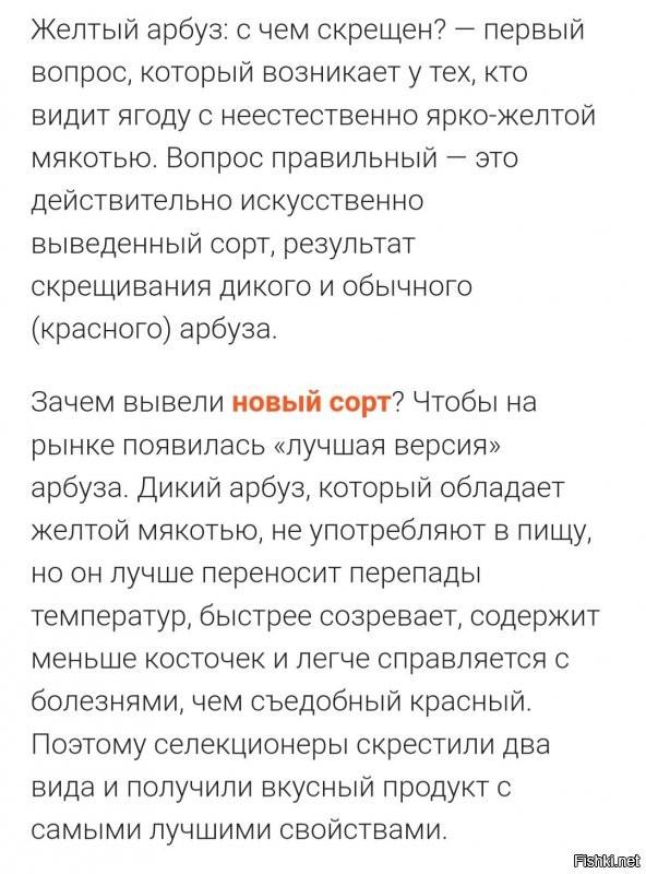Солянка от 03.08.2020