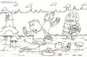 Немного интересного о грибах