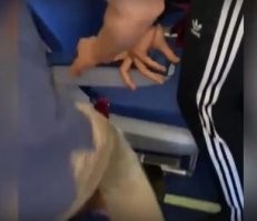 Абибас- +1 к четкости  =)