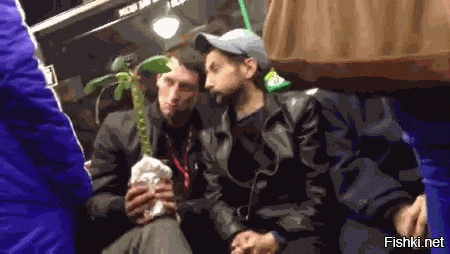 Мы обычно смотрим прямую трансляцию кактуса...