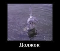 Прикольные и смешные картинки