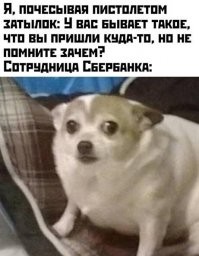 Где карту оформляли, туда и идите!..
