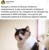 Физик хегов. Жидкость не сжимается...