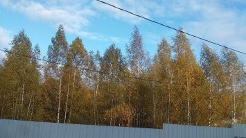 У меня за забором начинается перелесок.Твари такие водятся- не то что сетку-джинсу и брезент пробивают).  А мне еще не повезло, меня кусают всегда. Так что, реппеленты и фумитокс с мая по ноябрь(