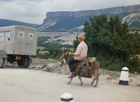 Судя по видео, владелец регистратора на осле ехал)))