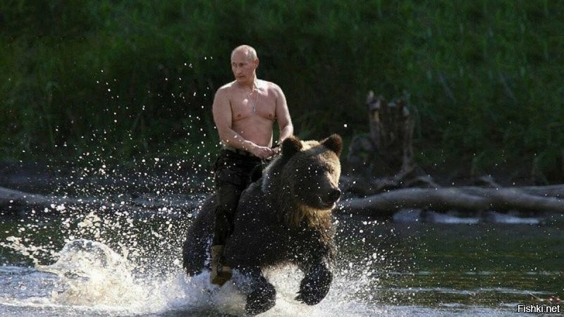 Вечный Владимир на медведе