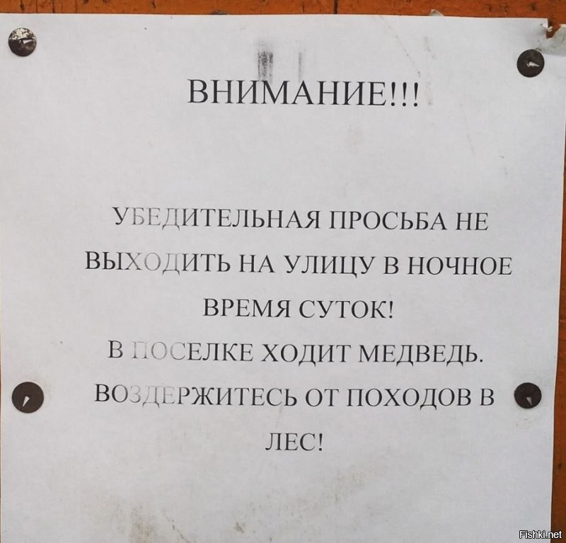 Якутянин Иван Кириллин, на которого напал медведь: «До сих пор сердце колотится»