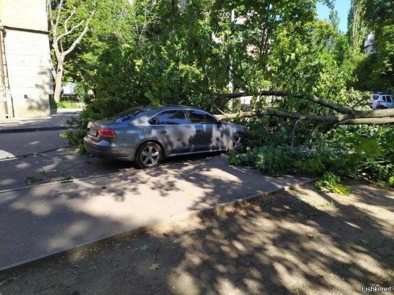 Вот сразу двух. Вчера в Одессе.