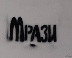 В Караганде дети до смерти замучили котят