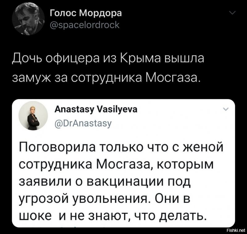 Политические комментарии из инета