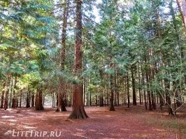 Вот сразу видно, что режиссёры мастера, художники, стремящиеся воплотить картинку если не поражающую зрителя, то хотя бы создающую тон, настроение. А вот вчера в посёлке, где я работаю, снимали кинцо. У нас курортные места, Национальный парк, уникальные места, виды. То есть просто масса неповторимых, необычных мест, неизбывное количество фактуры самой разнообразнейшей. И что же? Снимали примерно то, что я показала на фото ниже (это только маленький посёлочек)? ДА НИФИГА!!!!! Снимали унылый домишко и в палатке, похожей как на последнем фото, только чуть пошарпанной от многолетнего использования, про фон даже говорю! Вообще в течении последних лет к нам в город и окрестности слетаются "киноделы" и снимают кино, сериалы и даже документалку. Только вот результаты.... Такой просто плевок а лица местных жителей, которым конечно лестно увидеть кусочек улицы, дома, пейзажа, рядом с которым живёшь, а получают унылое го..но, сараи, улицу, неузнаваемую никем, коих повсюду на каждом шагу везде и прочее уё..ще! А у нас в области снимали очень много фильмов! Сначала военные, поскольку много и долго развалки были, фактура немецких строений. "Трое в лодке не считая собаки". Да! Его снимали на нашей реке Неман, удачно изобразившей Темзу. Это было красиво и сочно!!! И снято в самые сжатые сроки! Некоторые виды пустыни в "Белое солнце пустыни" снято как раз на дюнах Куршской косы. Да неперечесть сколько снято отличных фильмов в наших краях! И ехали именно в поисках нужной натуры и показывали её и выходило узнаваемо, непохоже на другие места, замечательно! А все последние... Это просто даже как то оскорбительно. Как же им не стыдно не показать красоту Балтики, если уж приехали снимать?! Как не показать красивые домики нашего города, если ехали специально?! Но похоже не стыдно, поскольку ехали не за этим. 
Итак, внимание на фото. Просто надёрганы виды из интернета, а даже у меня в личном архиве своих фоток сотни и легко найти красоты, что снимают прогуливаясь туристы. Смотрите какая красота и разнообразие всего в нескольких километрах округи. И последнее фото- собственно объект съёмок (очень похожая палатка).