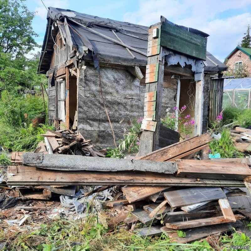 когда каникулы в деревне